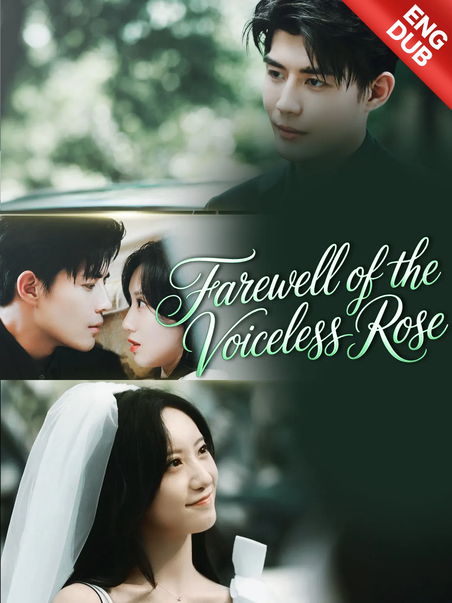 Farewell of the Voiceless Rose(Silent No More: I Got My Prince)
