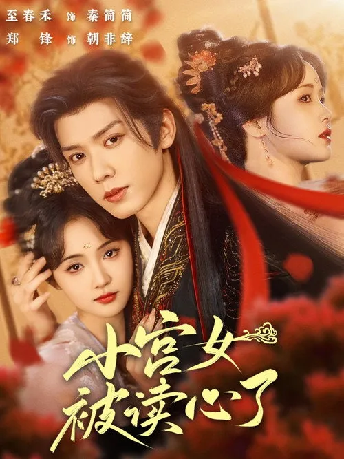 Poster do drama